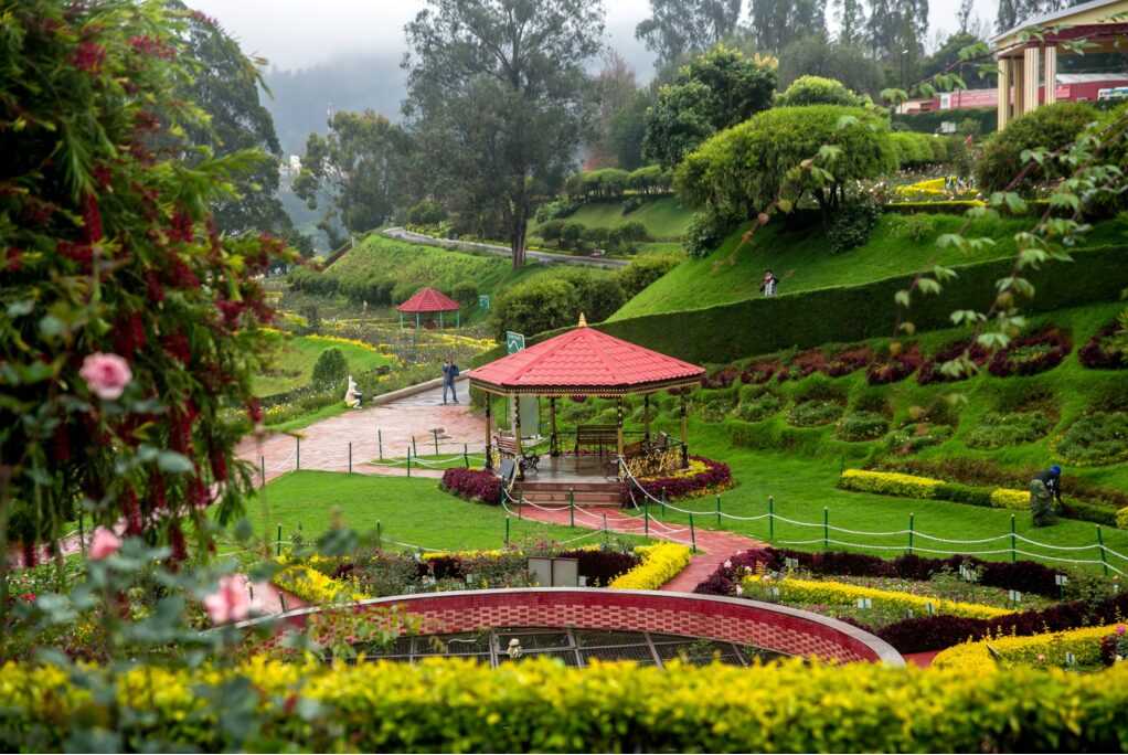 Ooty